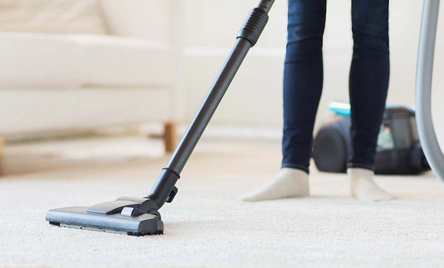 cleaner cleaning a carpet